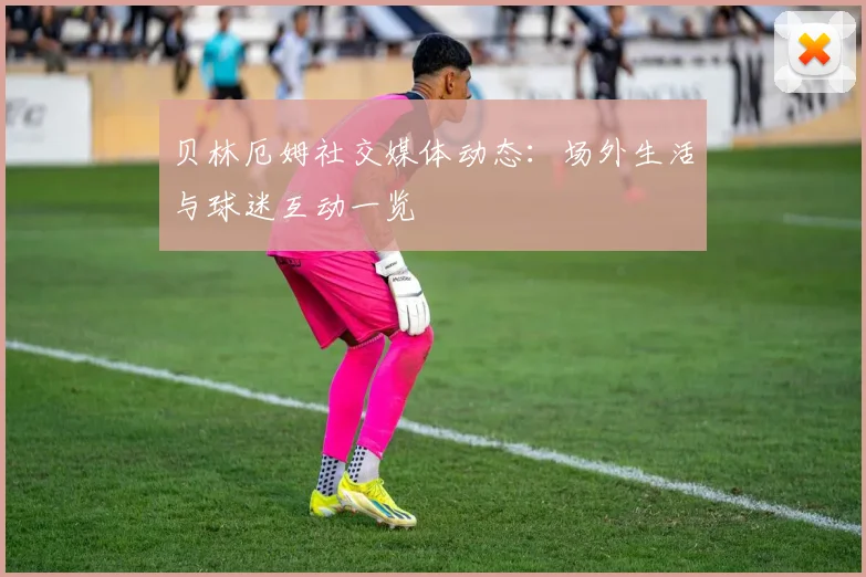 贝林厄姆社交媒体动态：场外生活与球迷互动一览